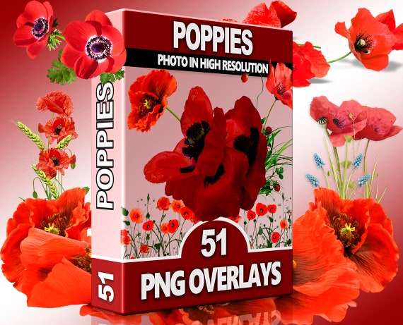 Red Flower PNG Overlays – Wildflowers, Spring Grass and Colorful Petals for Photoshop, Nature Scenes & Digital Designs