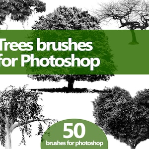 Tree & Bush Photoshop Brushes – Realistic High-Res ABR Set for Nature, Forest and Landscape Digital Painting