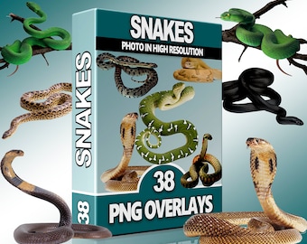 Snake PNG-overlays – Clipart Python, Anaconda en reptielen voor Photoshop, scènes met wilde dieren en digitale kunstprojecten