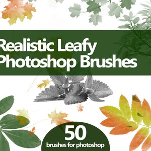 Leaf Photoshop Brushes – Realistic High-Resolution ABR Set for Autumn, Spring & Falling Leaves Digital Art