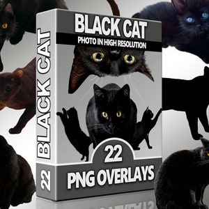 Black Cat Overlays For Photoshop, Cat PNG, Halloween Overlays, Animal Overlays, Instant, Cliparts, Digital Download, Scrapbook, High Quality