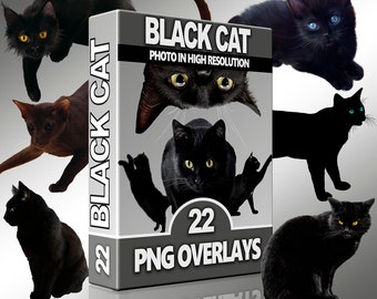 Black Cat Overlays For Photoshop, Cat PNG, Halloween Overlays, Animal Overlays, Instant, Cliparts, Digital Download, Scrapbook, High Quality