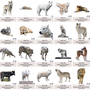 Wild Wolves Overlays, Animal Overlays for Photoshop, PNG Photo Overlay ...