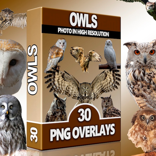 Owls PNG Overlays, Birds Cliparts, Eagle-owl, Wild Animals, Forest animals, Digital Download, Scrapbook, High Quality Images, Overlays