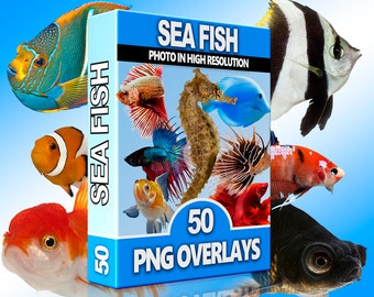 Fish Overlays, Sea creature, Sea Fish Clipart, Photo overlay, Photoshop overlay, Animals overlay PNG, Sea Horse Overlays, Exotic animals PNG