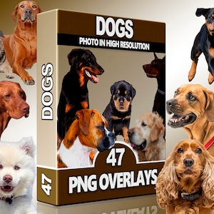 Dog PNG Overlays – Cute Puppies and Realistic Dog Clipart for Photoshop, Scrapbooking & Animal Photo Edits