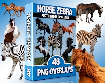 Horse overlay, Zebra Clipart, Pony PNG, Animal Overlays for Photoshop, PNG Photo overlay horse, Scrapbook, High Quality Images, Download PNG