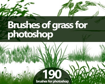 May include: A set of 190 Photoshop brushes featuring various styles of green grass. The image shows examples of the brushes, including tall blades of grass, short blades of grass, and wispy blades of grass.