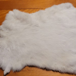 SLC Genuine Earth Tone Rabbit Pelt for Décor & Crafts, Single Genuine Fur  Hides