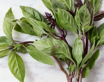 Thai Basil Seeds