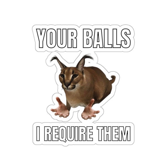 Big Floppa, Cat Meme, Your Balls I Require Them, Cat in the Tub Sticker -   Finland