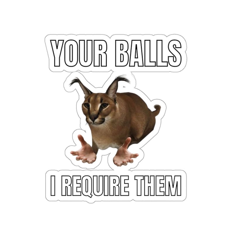 Big Floppa, Cat Meme, Your balls I require them, Cat in the Tub Sticker 