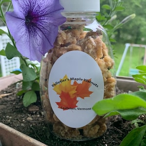 May include: A clear glass jar filled with maple walnuts. The jar has a white label with the text "Pelletier's Maple Walnuts" and "Castleton, Vermont".
