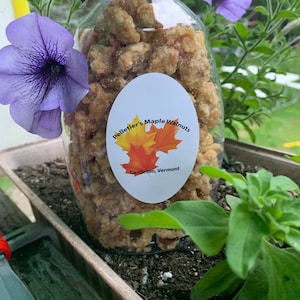 May include: A clear plastic bottle filled with maple walnuts. The bottle has a white label with the text "Pelletier's Maple Walnuts" and "Castleton, Vermont".