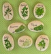 Herb Garden Stones for Herbs, Flowers, Plants, fruits or vegetables.  Create a Custom set of hand painted stone markers 