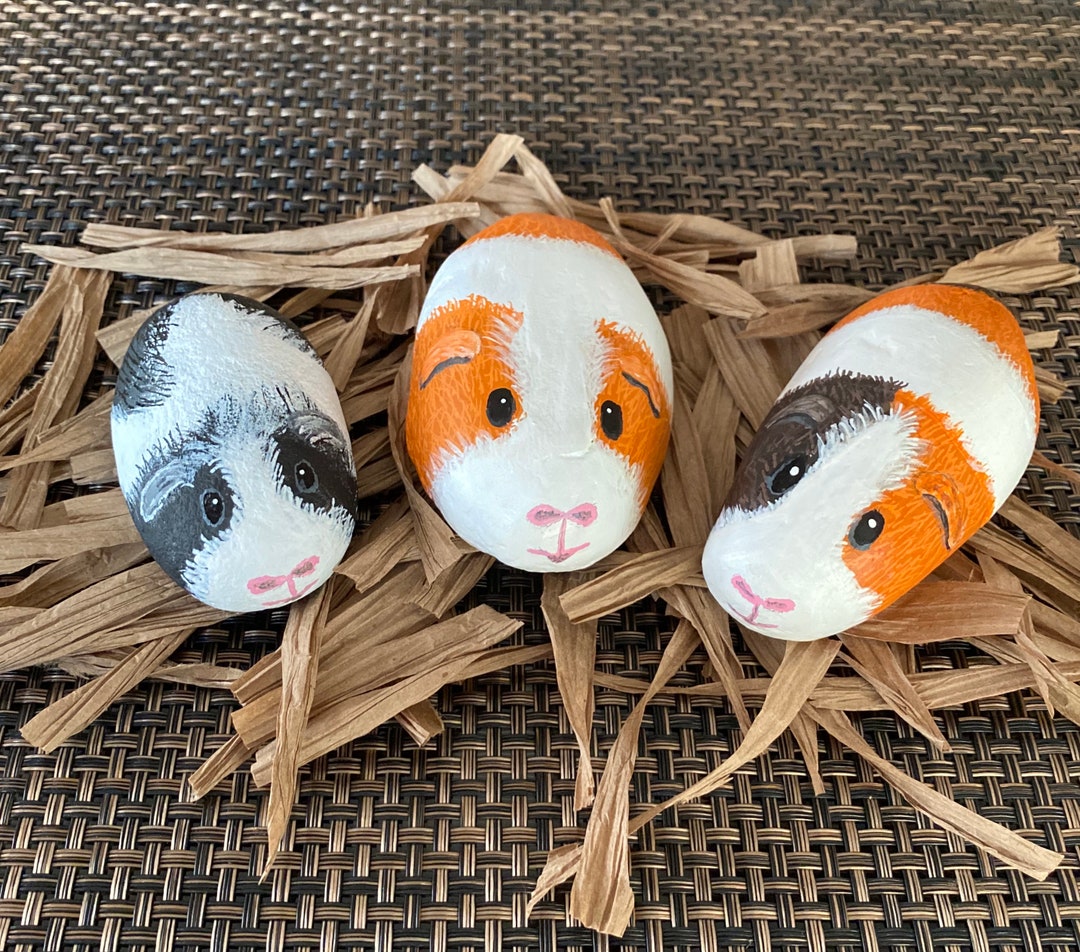 Guinea Pig Hand Painted Novelty Rocks Etsy