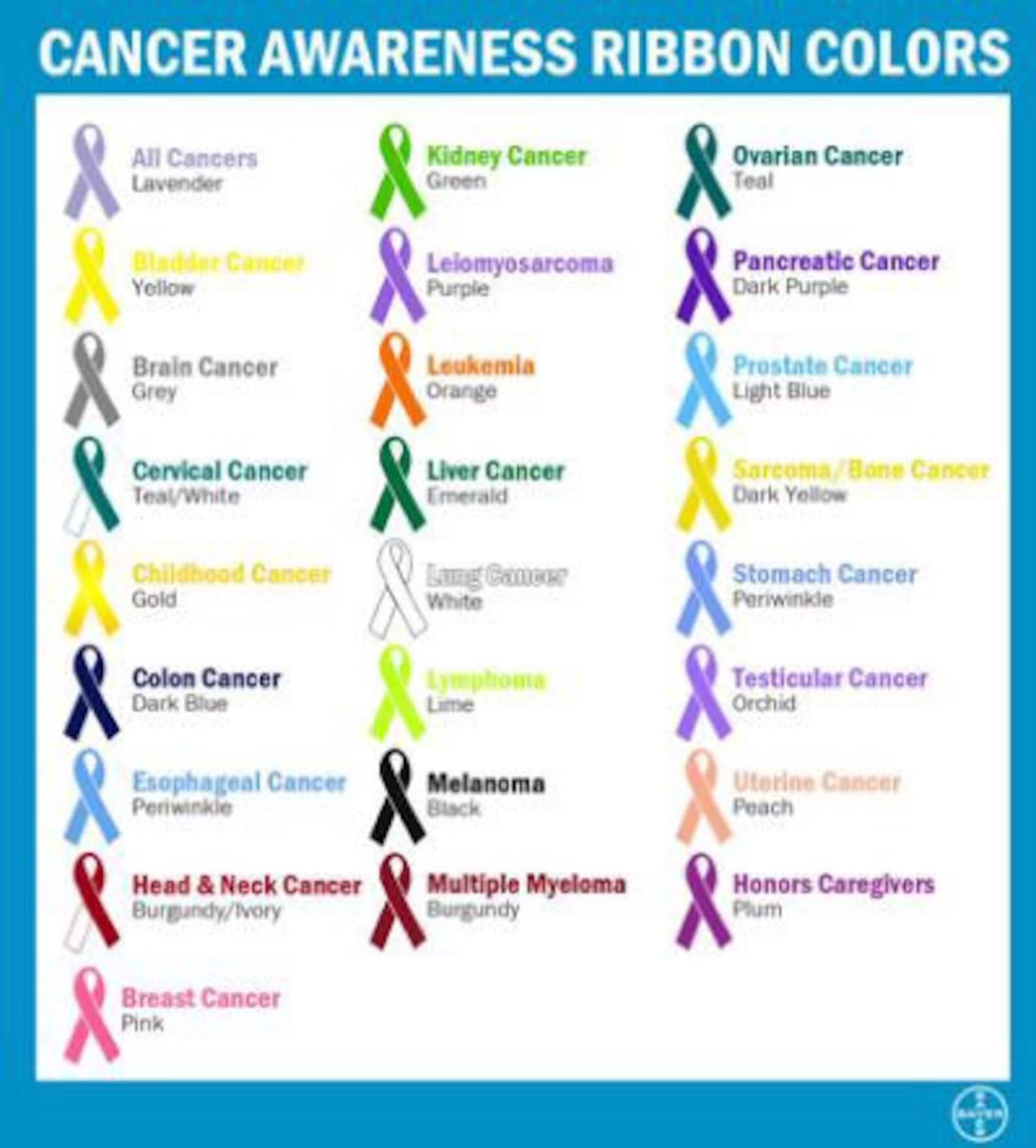 Cancer Ribbon Painted Rocks Custom Cancer Awareness Ribbon Painted Rocks, Garden Decor, Home Decor ...