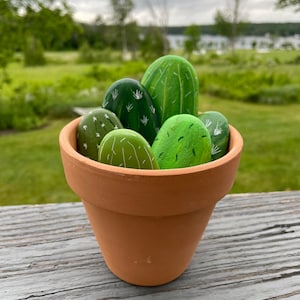 May include: A terracotta pot filled with painted green and white rock cacti. The rocks are painted to look like different types of cacti.