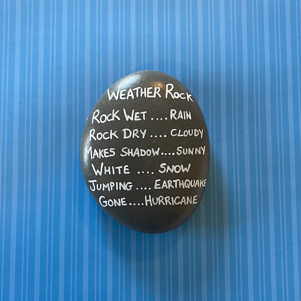 Hand Painted Weather Rock, Novelty Forecasting Stone, small gift, garden decor, weather sign