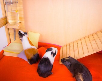 Guineapet 2x1 C C 4 Couches Polaire Cage Liner Literie Etsy France