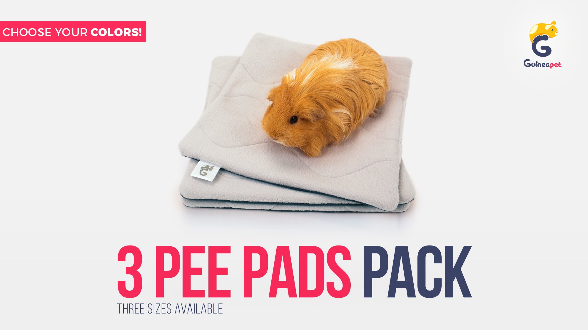 Guinea Pig Pee Color