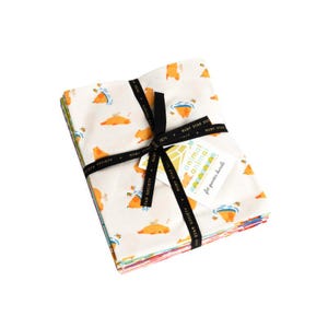 Animal Animal Fat Quarter Bundle - 21 pieces, Ruby Star Society, Moda Fabrics