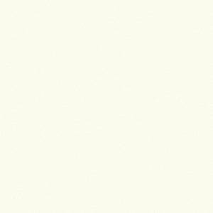 May include: A plain white background.