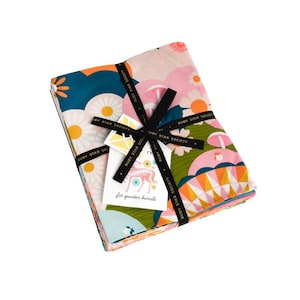 Carousel Fat Quarter Bundle - 23 pieces, Melody Miller Ruby Star Society, Moda Fabrics
