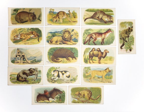 Antique Animal Cigarette Cards (set of 43) - Imperial Tobacco - C. 1916