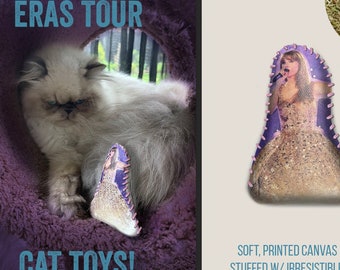Petit jouet en peluche Tay Tay d'Eras Tour, Little Mini Tay rempli d'herbe à chat pour le nec plus ultra des amoureux des chats ! Nouveau et ridicule !