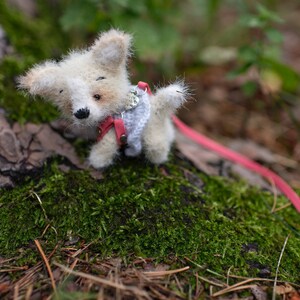May include: A white crocheted dog toy with a pink harness and a silver charm. The toy is on a mossy green surface with a red leash.