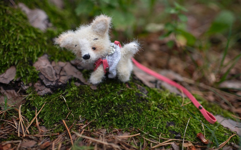 May include: A white crocheted dog toy with a pink harness and a silver charm. The toy is on a mossy green surface with a red leash.