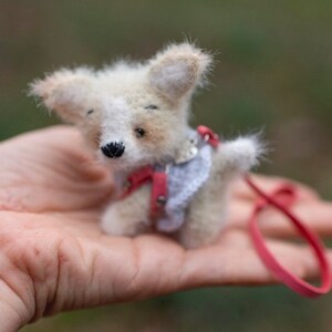 May include: A small, white and brown, needle felted dog wearing a red and white harness and a leash.