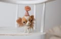 Felted Chihuahua Dog: Miniature Wool Pet for Blythe Dolls