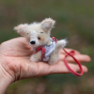May include: A small, white and brown, furry toy dog wearing a red and white harness and a leash. The dog is sitting in the palm of a person's hand.