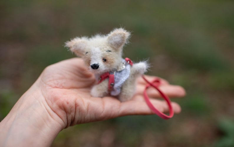 May include: A small, white and brown, furry toy dog wearing a red and white harness and a leash. The dog is sitting in the palm of a person's hand.