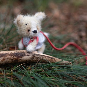 May include: A small white crocheted teddy bear wearing a red and blue vest and a red leash, sitting on a branch in a grassy area.