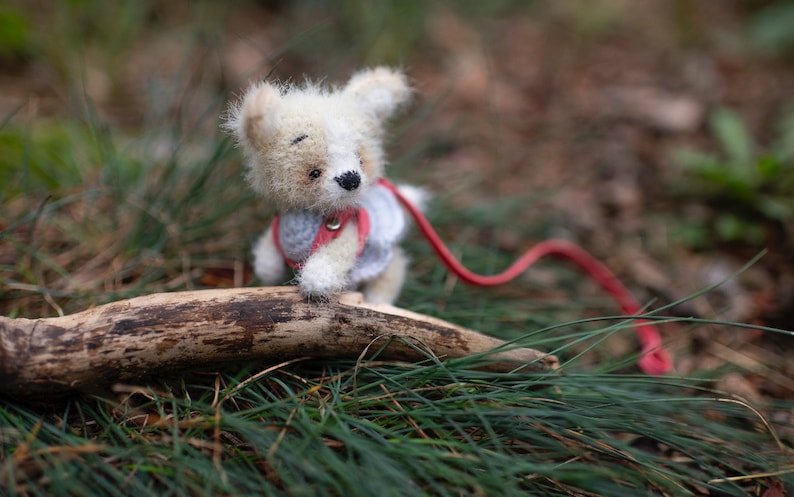 May include: A small white crocheted teddy bear wearing a red and blue vest and a red leash, sitting on a branch in a grassy area.