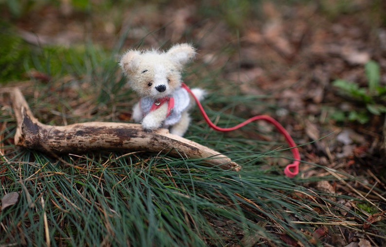 May include: A small, white, plush toy dog wearing a blue and white dress and a red leash. The dog is sitting on a branch in a grassy area.