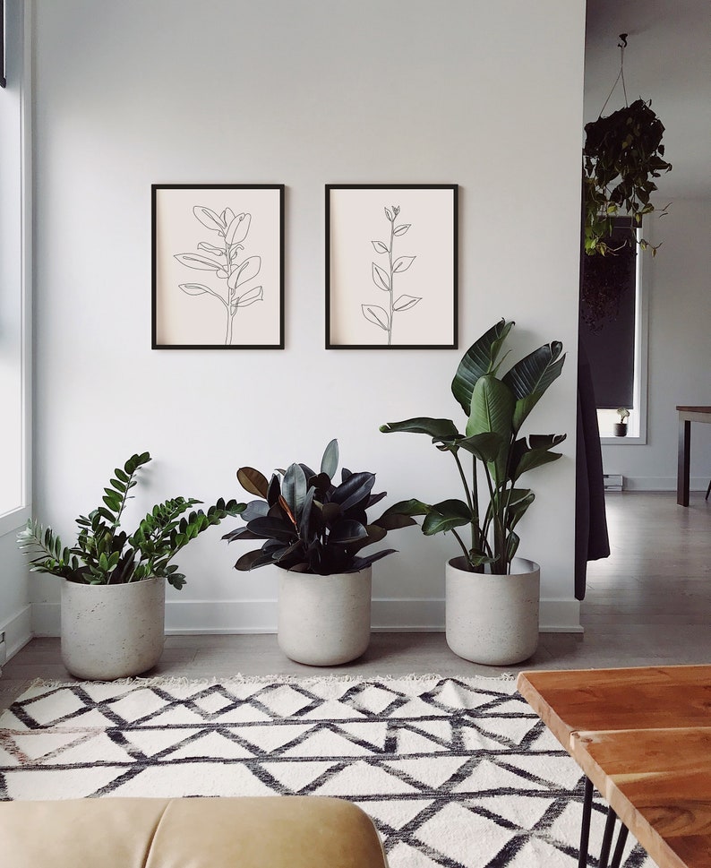 May include: Two black framed line art prints of plants hang on a white wall above three potted plants. The plants are in gray pots and are on a white and black patterned rug.