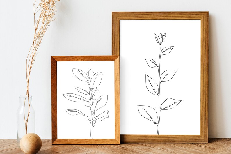 May include: Two framed line art prints of plants with simple black outlines on white backgrounds. The prints are in wooden frames with a natural wood finish.