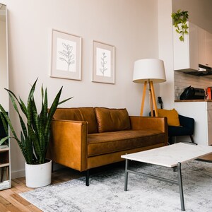 May include: A living room interior with a brown leather sofa, a white coffee table, a potted snake plant, and two framed line drawings of plants on the wall. A floor lamp with a white shade stands next to the sofa.