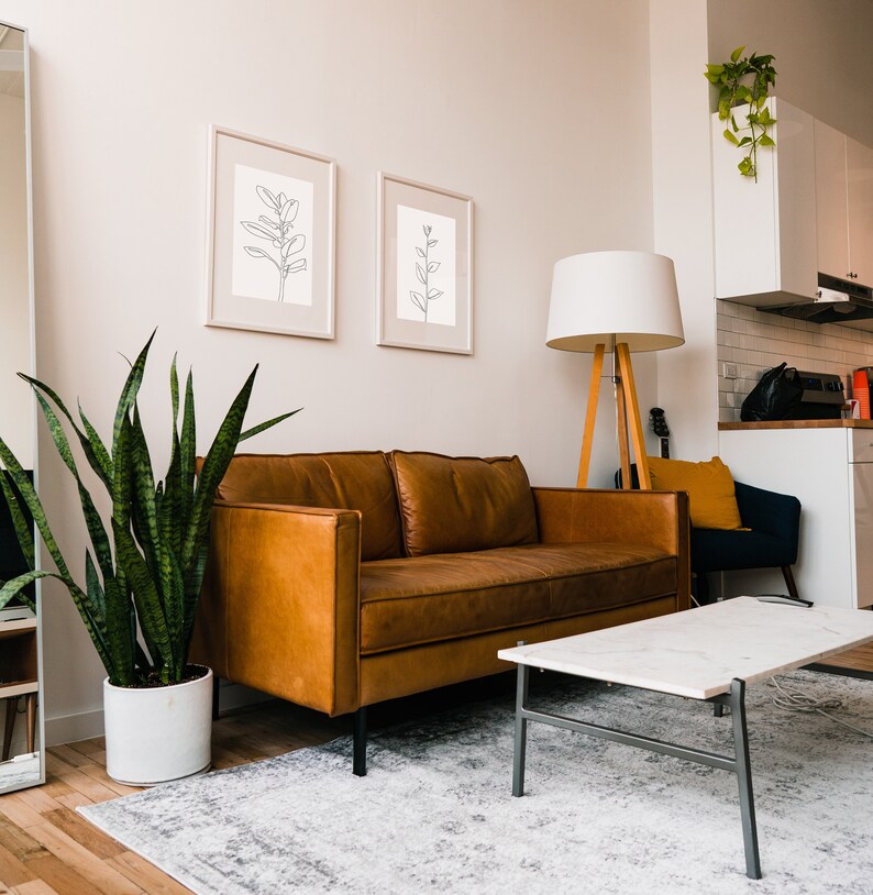 May include: A living room interior with a brown leather sofa, a white coffee table, a potted snake plant, and two framed line drawings of plants on the wall. A floor lamp with a white shade stands next to the sofa.