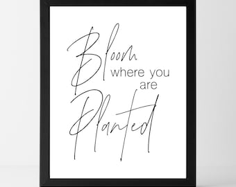 COMPRE 2 OBTENGA 1 GRATIS Floración donde esté plantado / Descarga instantánea