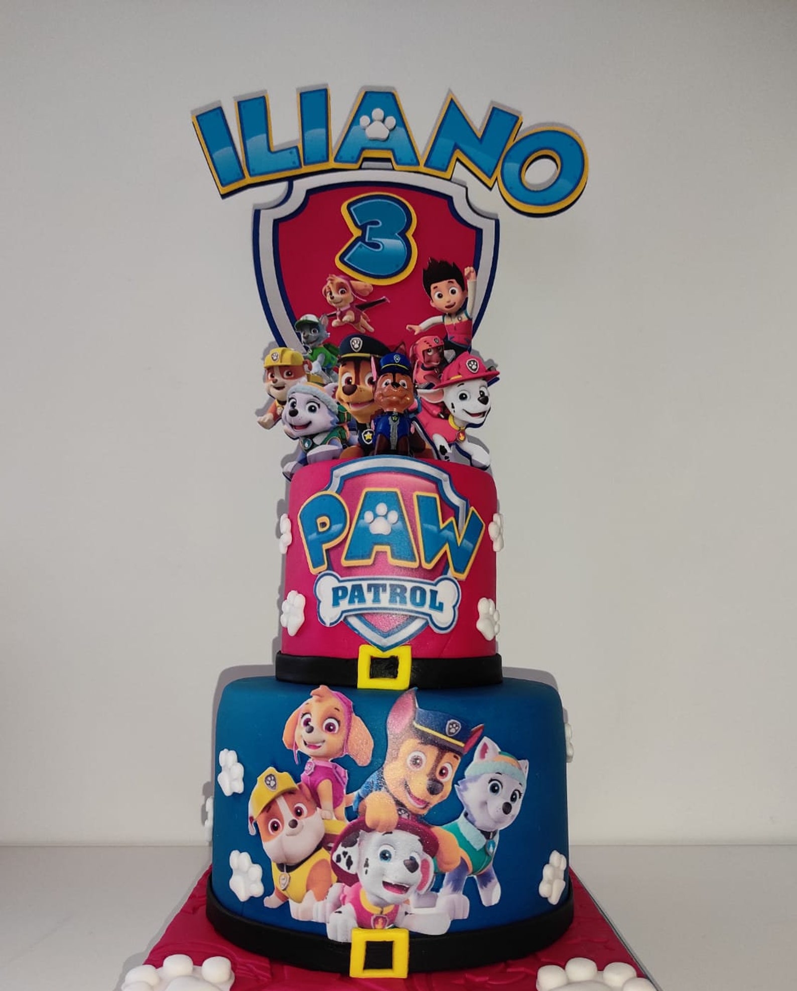 PAT PATROUILLE Theme Cake Topper And/or Customizable Banner Etsy