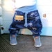 see more listings in the Boys - Pump Pants section