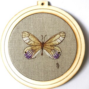 Broderie sur tambour d'un papillon Cithaerias philis fait main