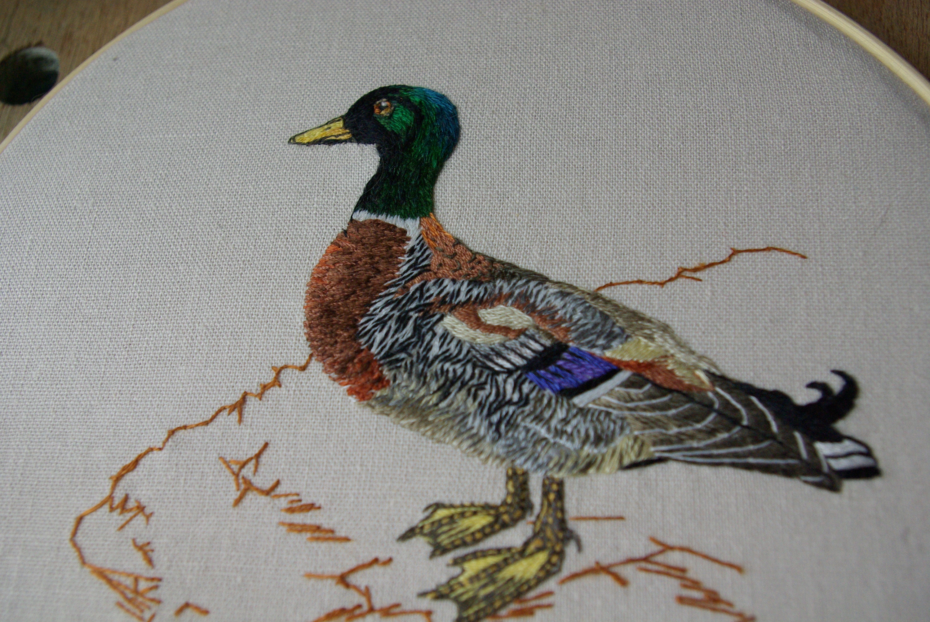 24+ Mallard Duck Embroidery Design