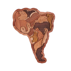 Puzzle en bois, Carte de l’Amérique du Sud, Puzzle en bois pour animaux, Jouets Montessori, Casse-tête en bois, Puzzle en formes en bois, Cadeau de fête de bébé