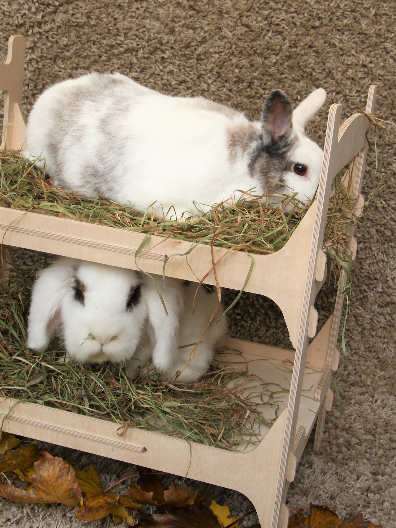 Slot Together Wooden Rabbit Bunk Bed Etsy